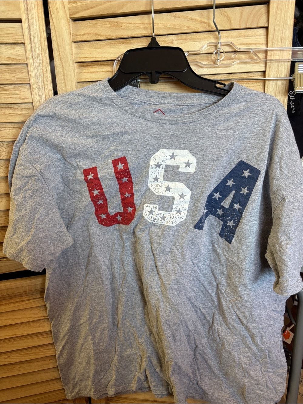 Well Worn Gray Tee with Red Logo Print 2XL
